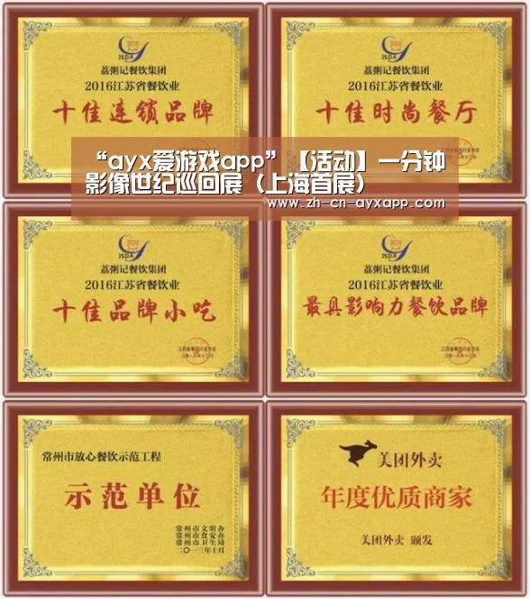 ayx爱游戏app