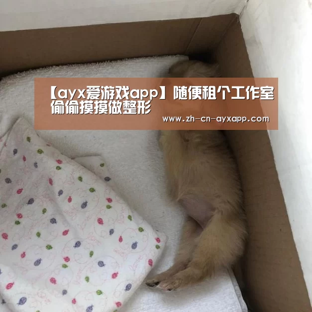 ayx爱游戏app