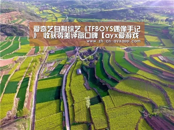 爱奇艺自制综艺《TFBOYS偶像手记》 收获零差评高口碑【ayx爱游戏app】(图3) ayx爱游戏app