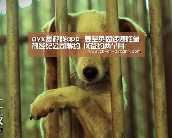 ayx爱游戏app